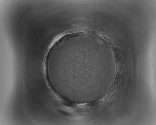 X0000116450054200912151308