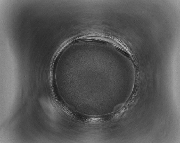 X0000116450055200912151308