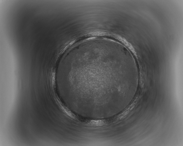 X0000116450057200912151308