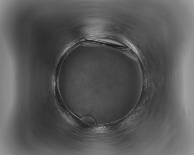 X0000116450059200912151308