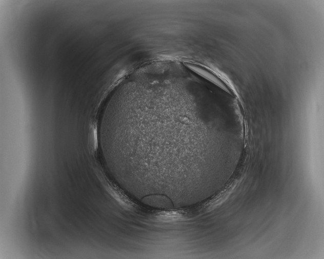 X0000116450061200912151308