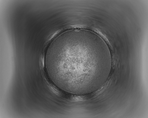 X0000116450062200912151308