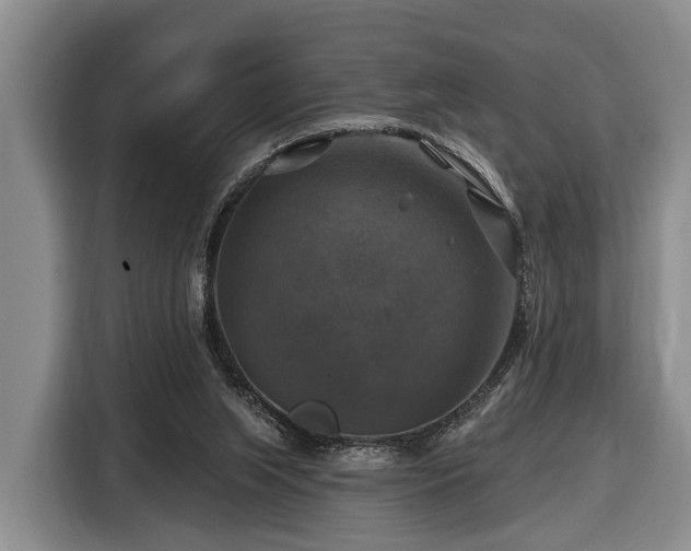 X0000116450063200912151308