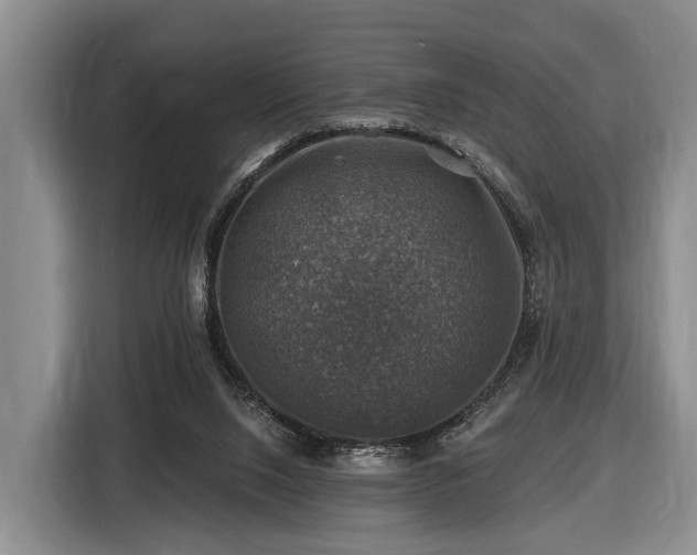 X0000116450064200912151308
