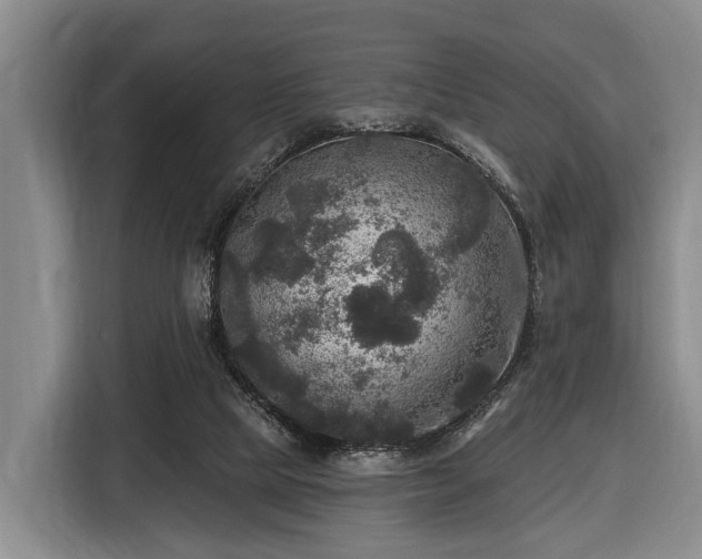 X0000116450065200912151308