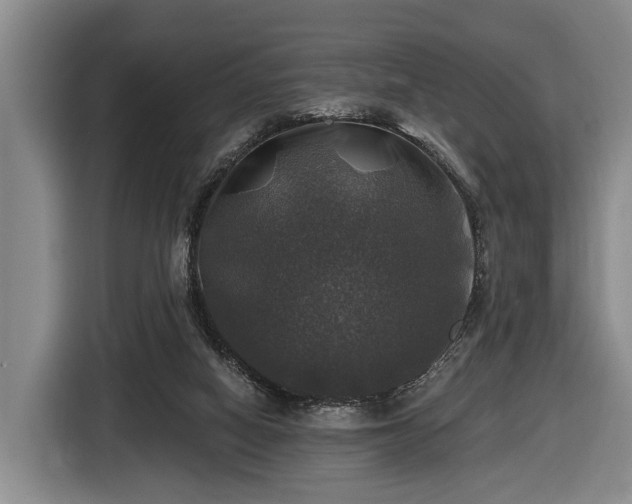 X0000116450066200912151308
