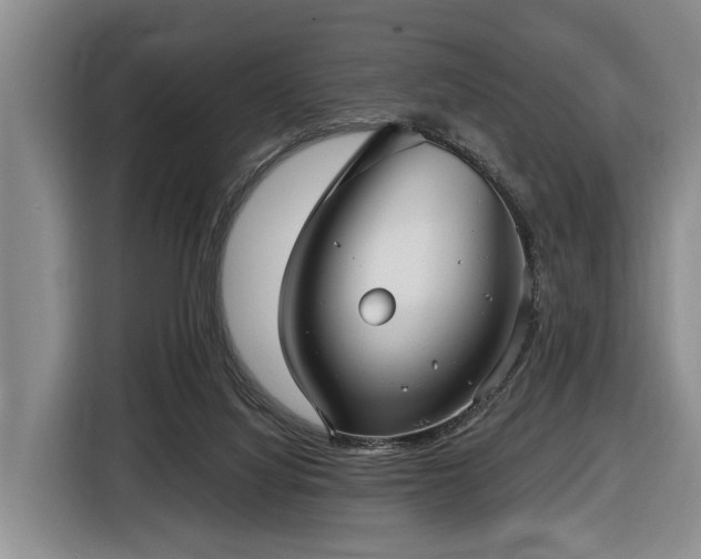 X0000116450068200912151308