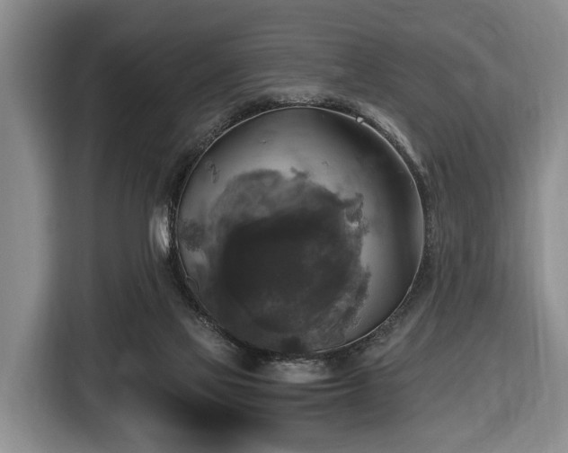 X0000116450069200912151308