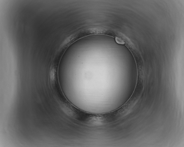 X0000116450071200912151308