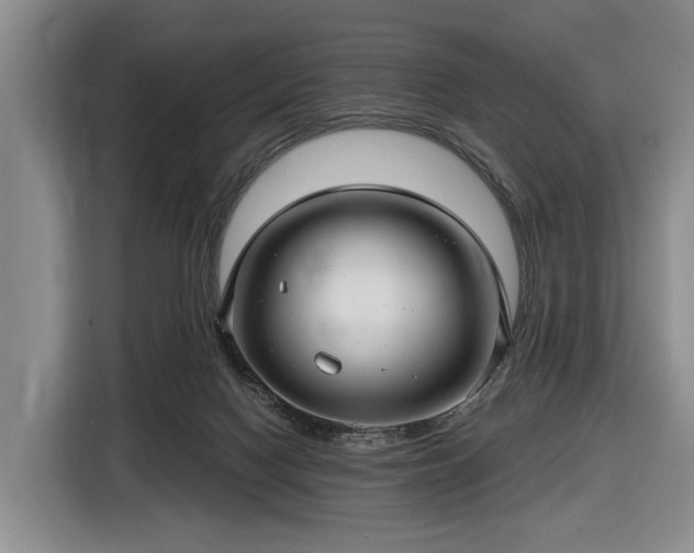 X0000116450074200912151308