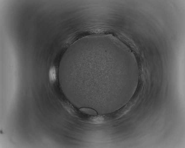 X0000116450075200912151308
