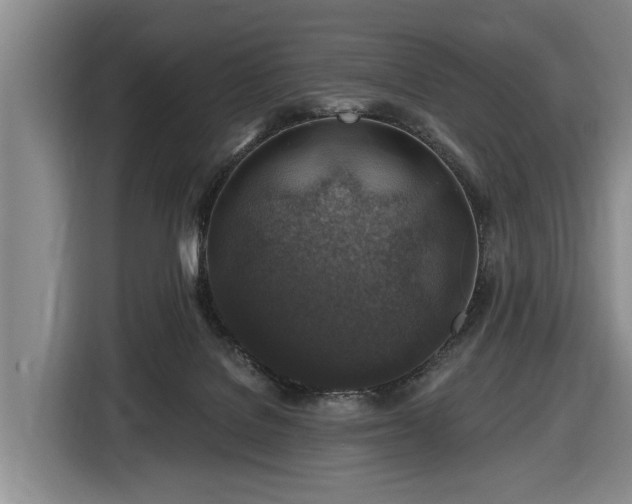 X0000116450076200912151308