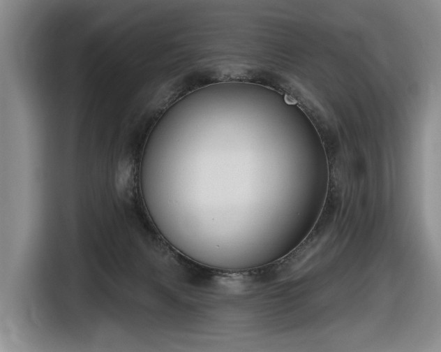 X0000116450079200912151308