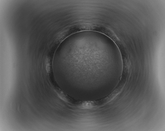 X0000116450080200912151308