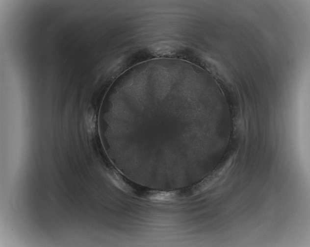 X0000116450081200912151308
