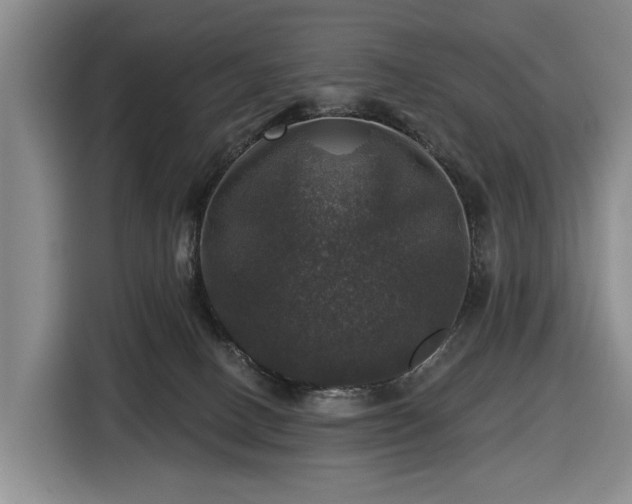 X0000116450082200912151308