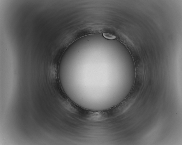 X0000116450083200912151308