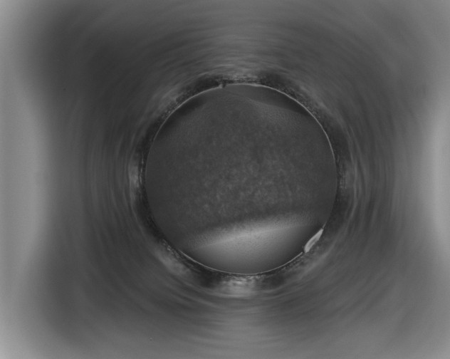 X0000116450084200912151308