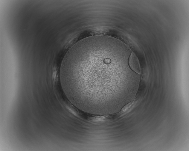 X0000116450086200912151308