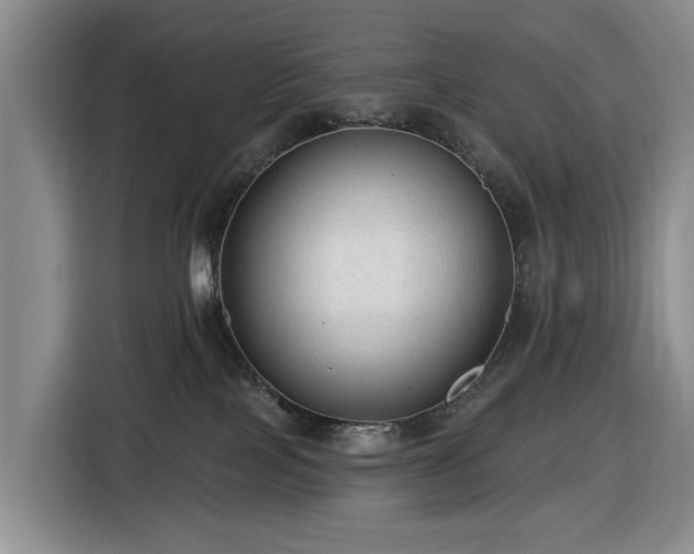 X0000116450089200912151309