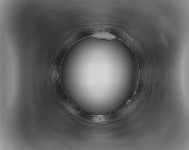 X0000116450091200912151309
