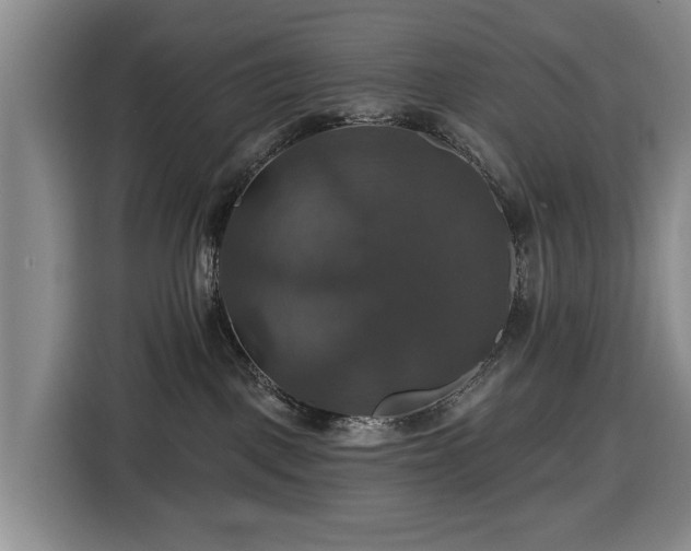 X0000116450093200912151309