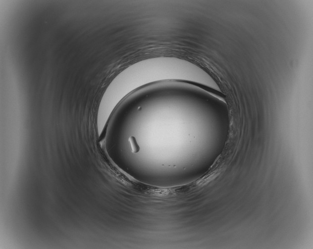 X0000116450096200912151309
