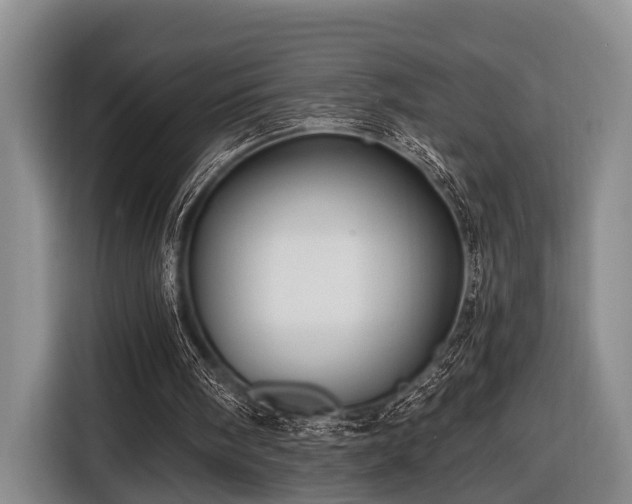 X0000116450098200912151308