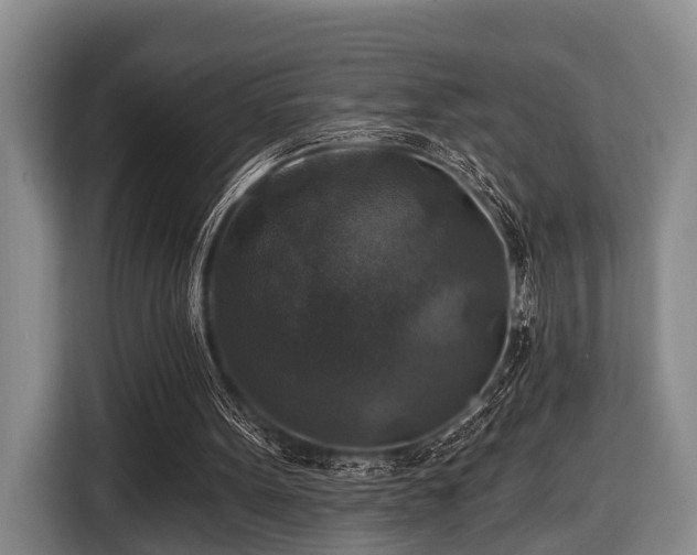 X0000116450099200912151308