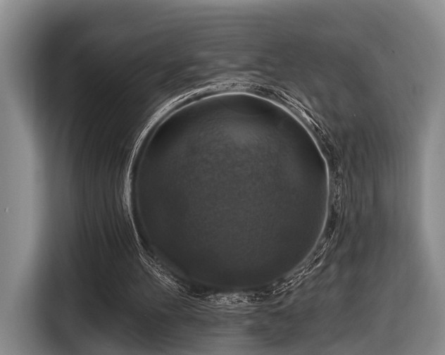 X0000116450100200912151308