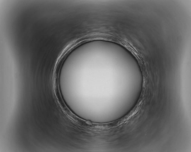 X0000116450101200912151308