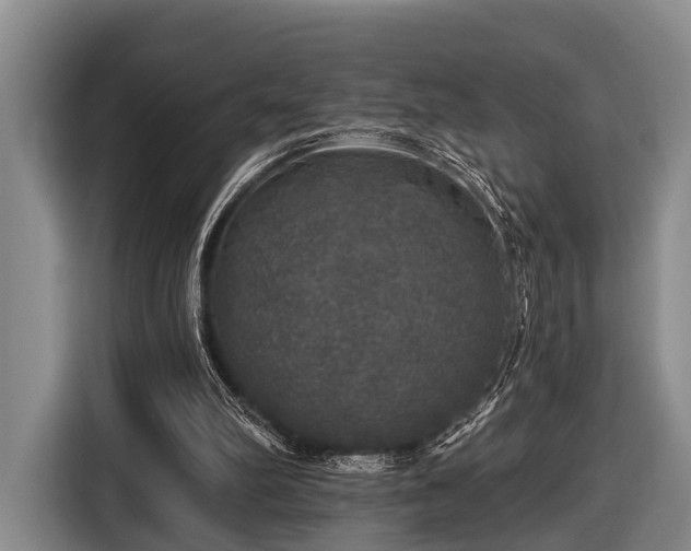 X0000116450102200912151308