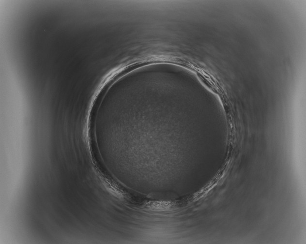 X0000116450104200912151308
