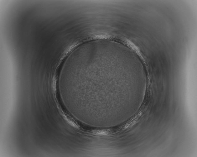 X0000116450106200912151308