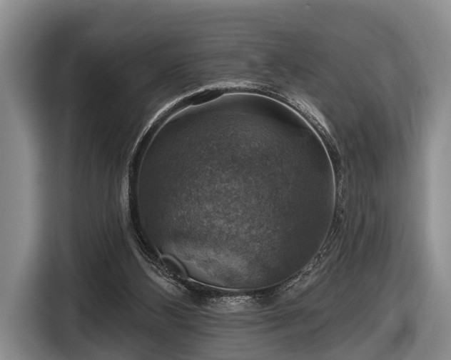 X0000116450108200912151308