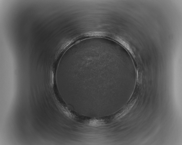 X0000116450109200912151308