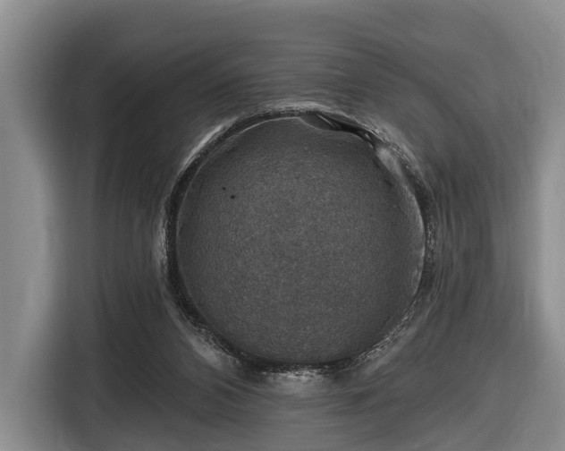 X0000116450112200912151308