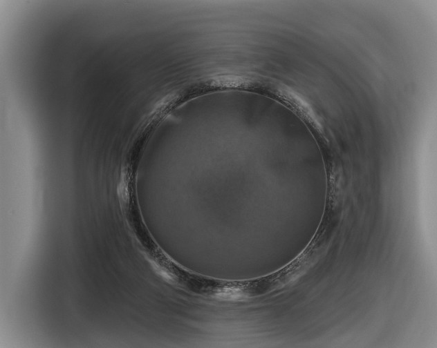 X0000116450114200912151308