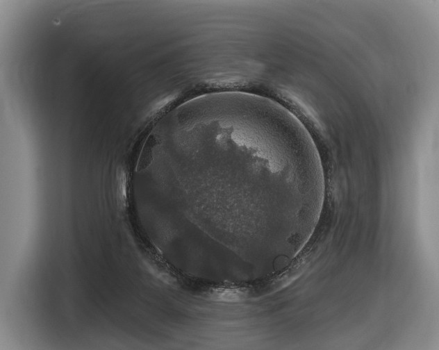 X0000116450115200912151308