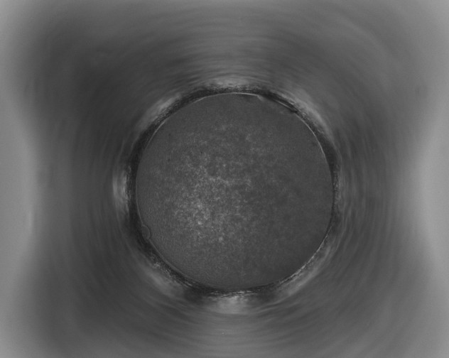 X0000116450116200912151308