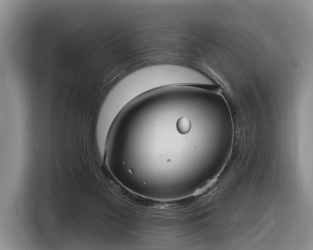 X0000116450117200912151308