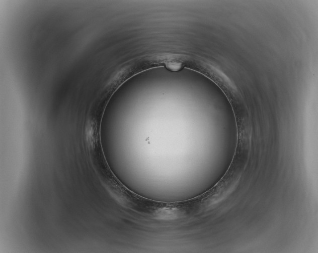 X0000116450119200912151308