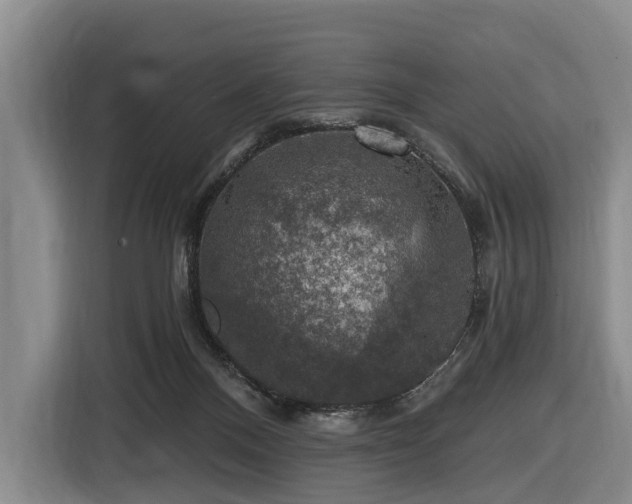 X0000116450120200912151308