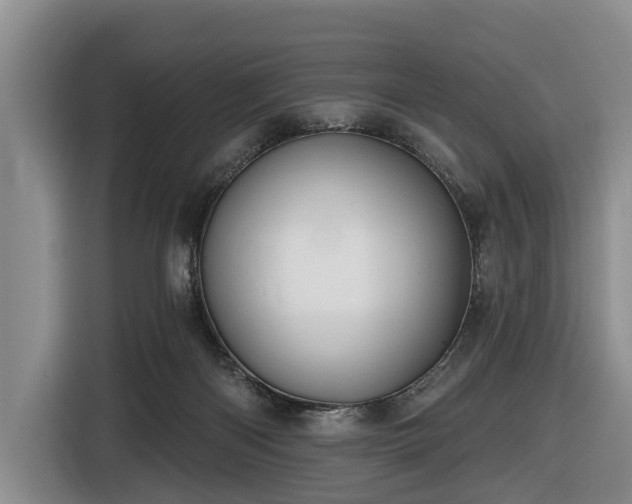X0000116450122200912151308