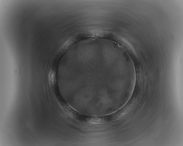 X0000116450123200912151308