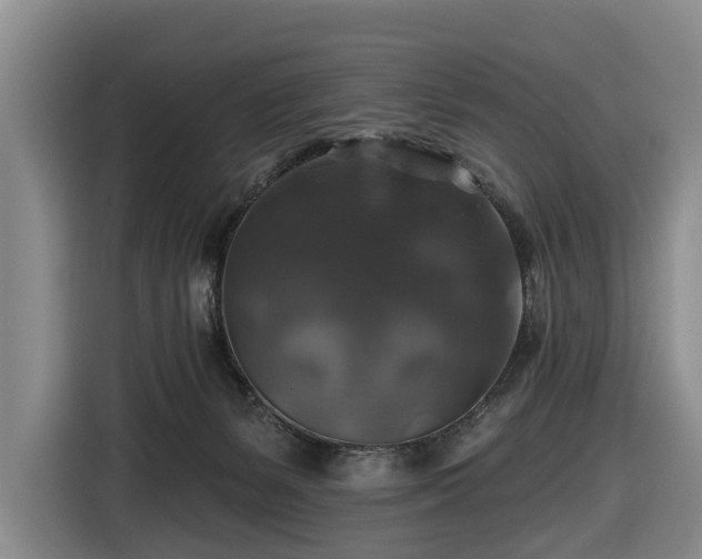 X0000116450127200912151308