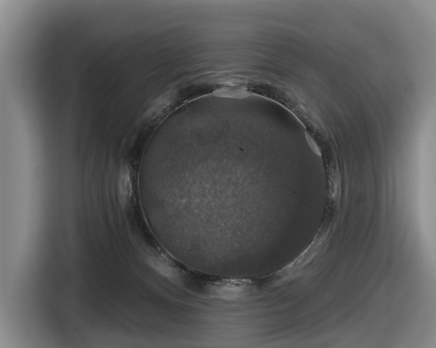 X0000116450128200912151308