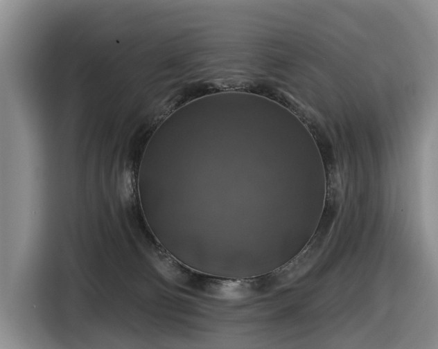 X0000116450130200912151308
