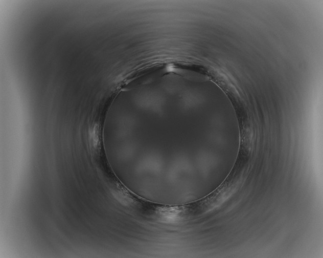 X0000116450131200912151308