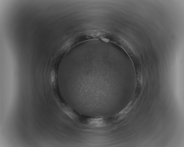X0000116450132200912151308